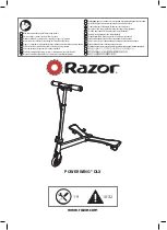 Razor PowerWing DLX Manual preview