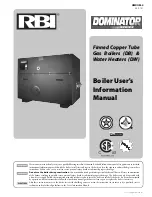 RBI Dominator 300 User Manual предпросмотр