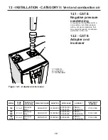 Предварительный просмотр 79 страницы RBI Infinite Energy2 IW1000 Installation And Operation Instructions Manual