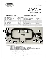 RDMOTO A9SDM Quick Start Manual предпросмотр