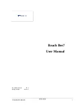 Reach Bee7 User Manual preview