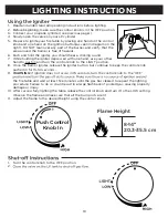 Предварительный просмотр 10 страницы Real Flame Berthoud C1460LP Owner'S Manual