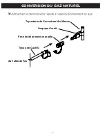 Предварительный просмотр 20 страницы Real Flame C11810 Manual