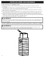 Предварительный просмотр 45 страницы RealFlame 11802 LP Owner'S Manual