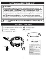 Предварительный просмотр 2 страницы RealFlame 2297583 Manual