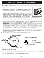 Preview for 44 page of RealFlame 6330LP Owner'S Manual