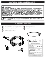 Preview for 2 page of RealFlame 817919/C0005LP Manual