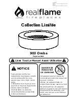 Preview for 5 page of RealFlame 900 Seneca Manual