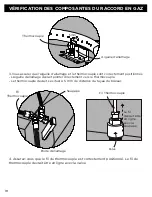 Preview for 42 page of RealFlame Baltic LPT9620 Owner'S Manual