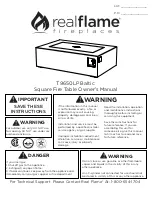 RealFlame Baltic T9650LP Owner'S Manual preview