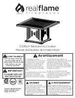 Предварительный просмотр 21 страницы RealFlame C1270LP Owner'S Manual