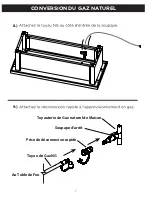 Предварительный просмотр 20 страницы RealFlame C1510LP Manual