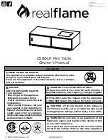 RealFlame C580LP Owner'S Manual preview