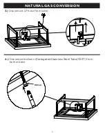 Preview for 4 page of RealFlame C820LP Manual