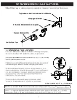 Предварительный просмотр 20 страницы RealFlame C820LP Manual