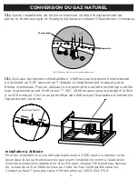 Предварительный просмотр 21 страницы RealFlame C820LP Manual