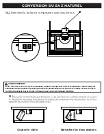 Предварительный просмотр 22 страницы RealFlame C820LP Manual