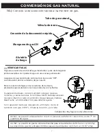 Предварительный просмотр 32 страницы RealFlame C820LP Manual