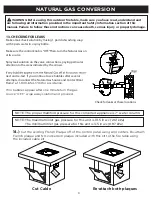 Предварительный просмотр 10 страницы RealFlame C9630LP Manual