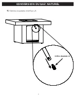 Предварительный просмотр 17 страницы RealFlame C9630LP Manual