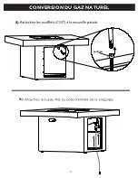 Предварительный просмотр 19 страницы RealFlame C9630LP Manual