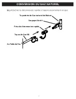 Предварительный просмотр 20 страницы RealFlame C9630LP Manual