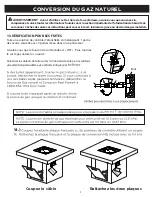 Предварительный просмотр 22 страницы RealFlame C9630LP Manual