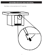 Предварительный просмотр 29 страницы RealFlame C9630LP Manual