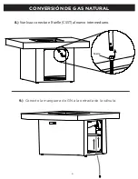 Предварительный просмотр 31 страницы RealFlame C9630LP Manual