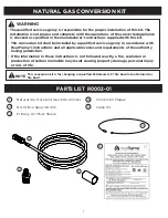 Предварительный просмотр 2 страницы RealFlame Riverside C539LP Manual