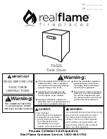 RealFlame T0025 Manual предпросмотр