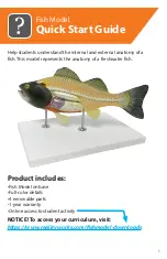 Reality Works Fish Model Quick Start Manual preview