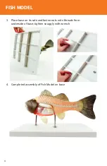 Preview for 4 page of Reality Works Fish Model Quick Start Manual