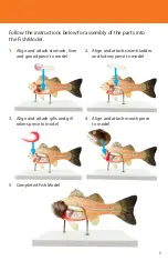 Preview for 5 page of Reality Works Fish Model Quick Start Manual