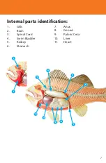 Preview for 7 page of Reality Works Fish Model Quick Start Manual