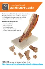 Reality Works Horse Hoof Model Quick Start Manual preview