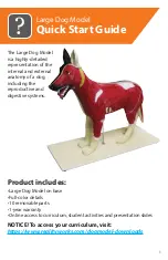 Preview for 1 page of Reality Works Large Dog Model Quick Start Manual