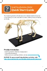 Предварительный просмотр 1 страницы Reality Works Small Dog Skeleton Model Quick Start Manual