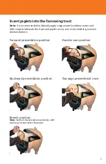 Предварительный просмотр 3 страницы Realityworks Swine Breeder artificial insemination simulator Quick Start Manual