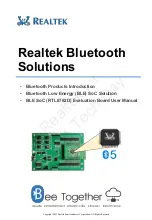 Realtek RTL8762D User Manual preview