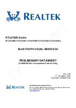 Realtek RTL8763B Series User Manual preview