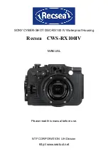 Recsea CWS-RX100III User Manual preview