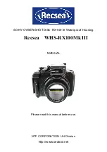 Recsea WHS-RX100Mk 3 User Manual preview