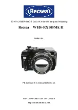 Recsea WHS-RX100Mk II Manual preview