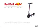 Red Bull Racing RB-RTEEN10 User Manual preview