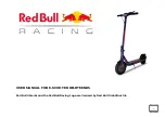 Red Bull Racing RB-RTEEN85 User Manual предпросмотр