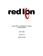 red lion BT-6000 User Manual preview