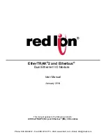 red lion E2-16DI24-D User Manual preview