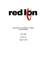 Предварительный просмотр 2 страницы red lion IndustrialPro BT-6401 User Manual