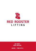 RED ROOSTER TMH-25T User Manual предпросмотр